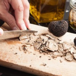 truffe-perigord-St-SEVER-1024x683